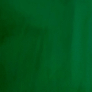 COTTON SINGLE JERSEY GRASS GREEN BV422 R 16030 300x300