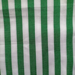 LIGHT COTTON WOVEN EMERALD WHITE STRIPE CABANA STRIPE 18202 300x300