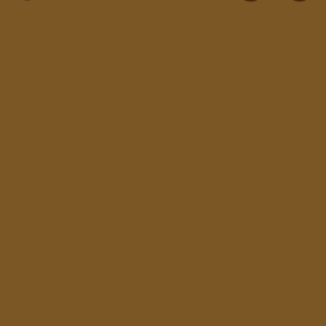 OLY SPANDEX KNITS BUTTERSCOTCH BON BON ST 04024 300x300