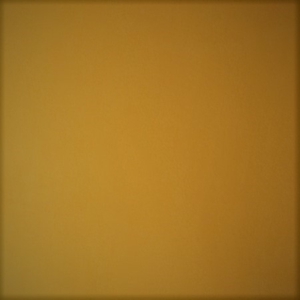 OLY SPANDEX KNITS OCHRE GR4115 2 08014 300x300