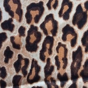 SATIN ZARIA CAT SG8144 1 18014