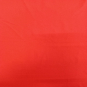 SWIMWEAR CARMINE RED SWNS2024 18086 300x300
