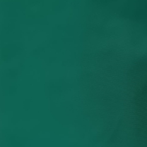 SWIMWEAR GREEN SWNS2024 10000 300x300