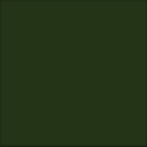 TRILOBAL MILITARY DARK BEV 126 10039 300x300