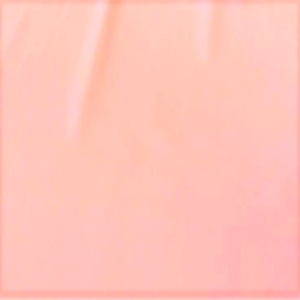 TRILOBAL PINK BEV 126 05088 300x300