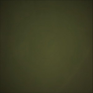 VISCOSE LYCRA MILITARY ING GA145LG210 10010 300x300