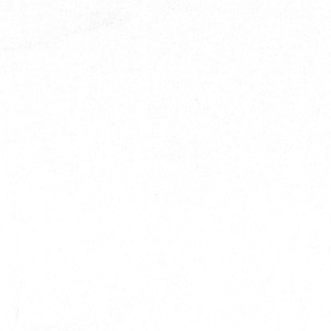 VISCOSE LYCRA WHITE ING GA145LG210 03000 300x300